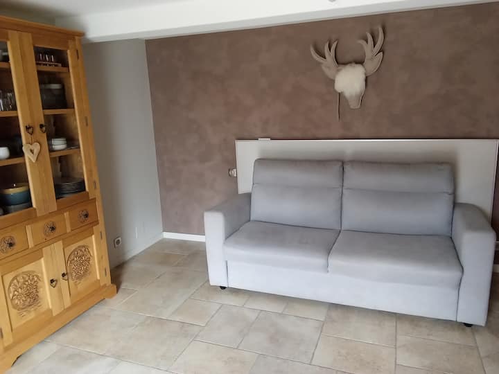 Appartement Situé Plein Sud Au Calme - Abondance