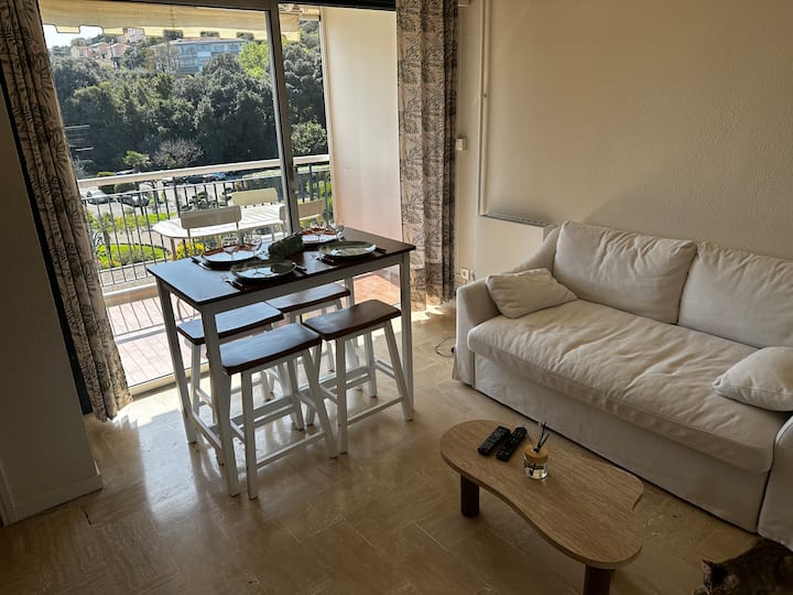 Appartement - Cannes