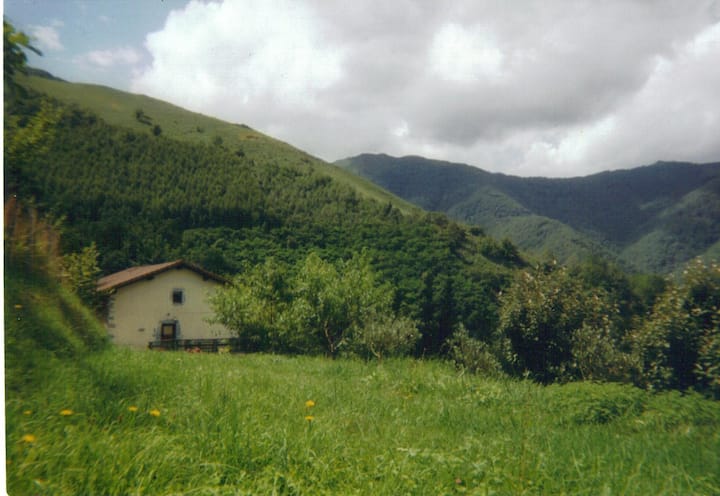 Casa Rural En Plena Naturaleza - Elgorriaga