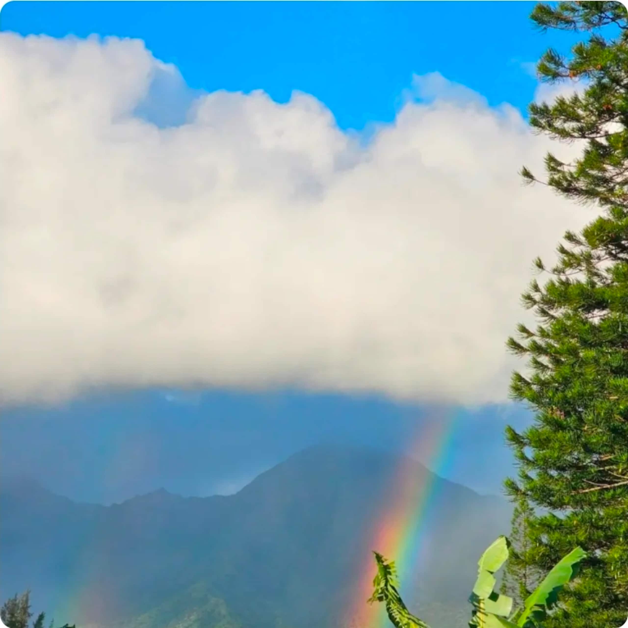 Guesthouse in Princeville · ★4.64 · 1 bedroom · 3 beds · 1 bath - Image 18