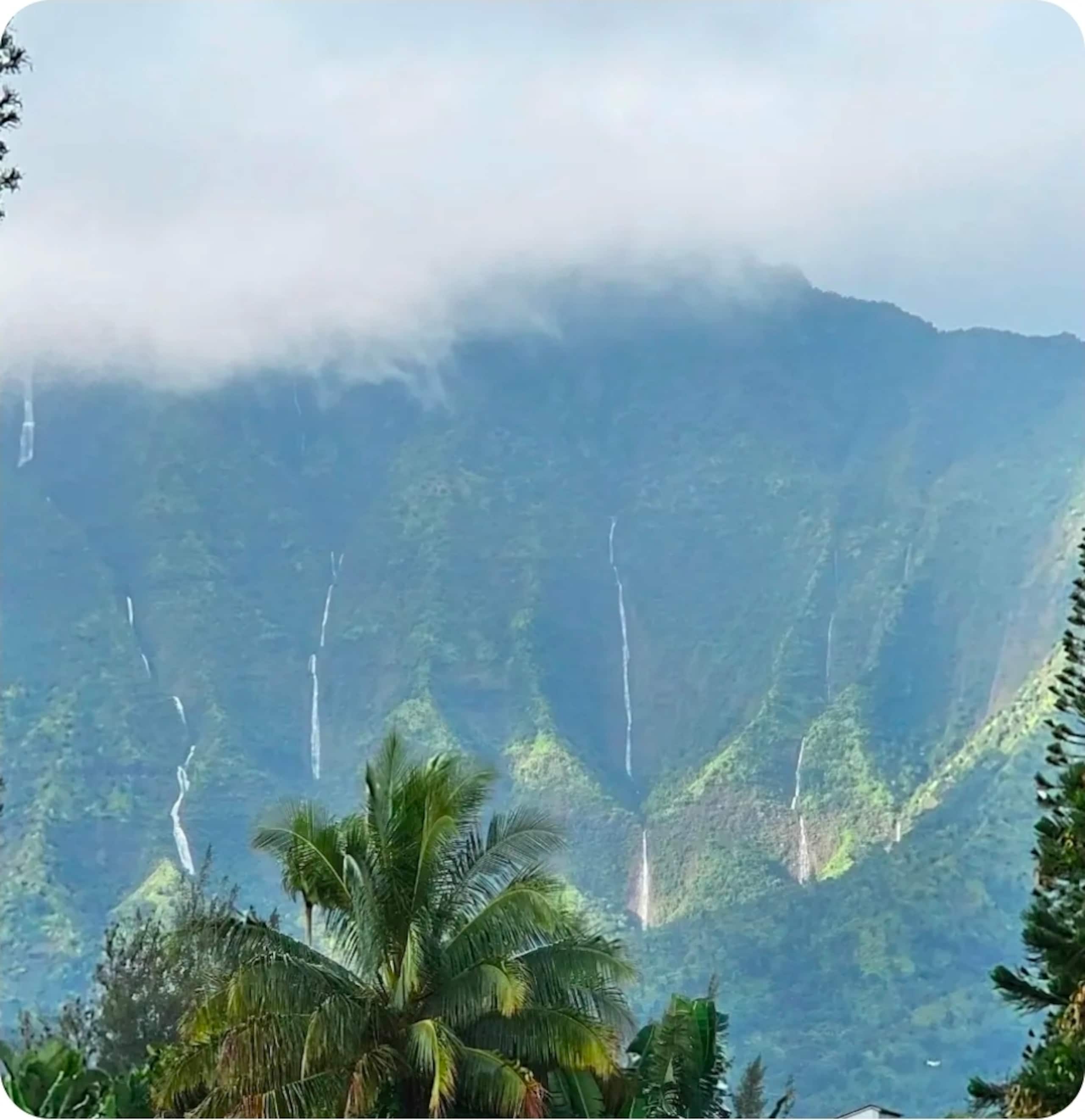 Guesthouse in Princeville · ★4.64 · 1 bedroom · 3 beds · 1 bath - Image 20