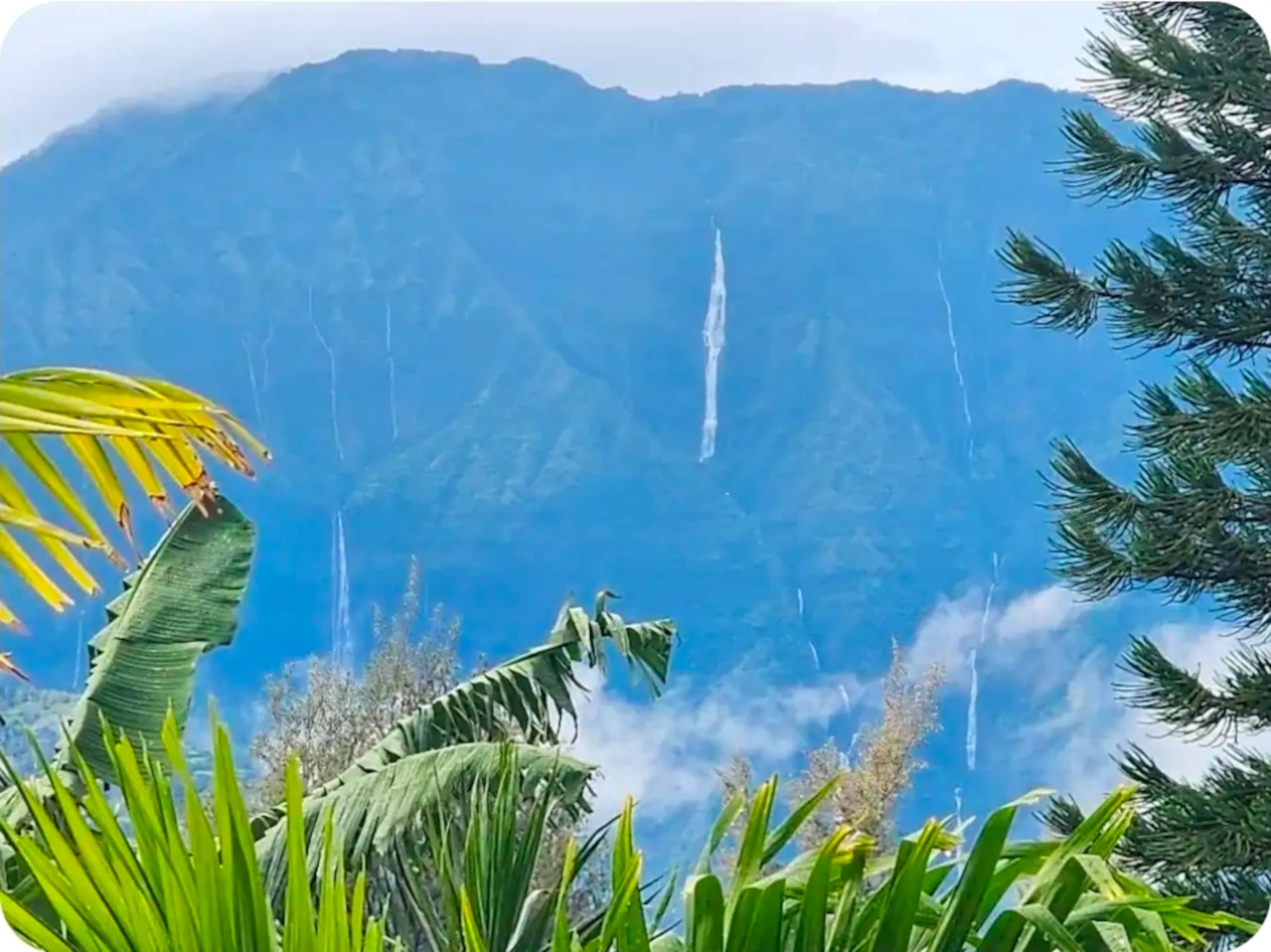 Guesthouse in Princeville · ★4.64 · 1 bedroom · 3 beds · 1 bath - Image 21