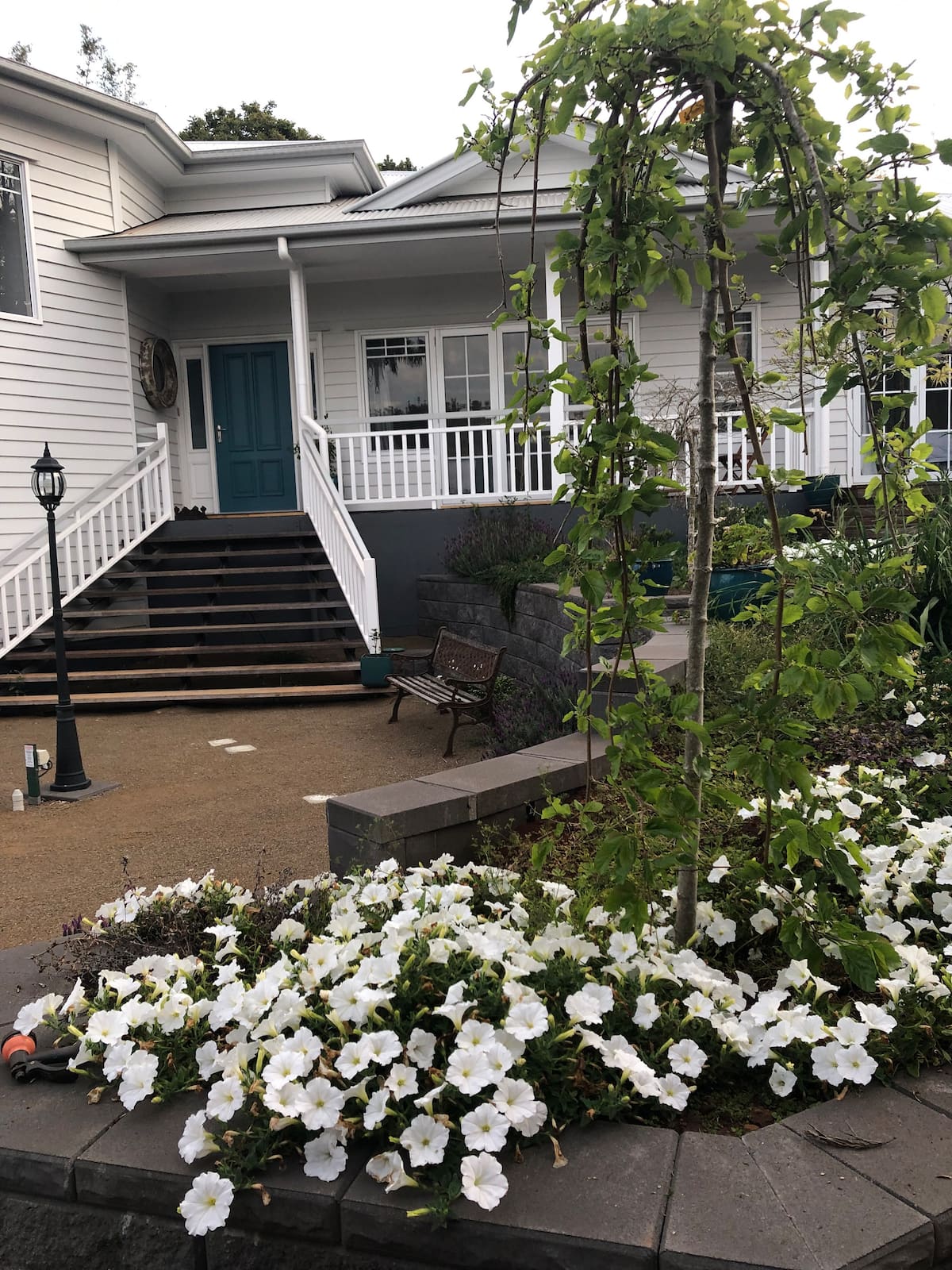 Carrington — photo via the host's Airbnb listing