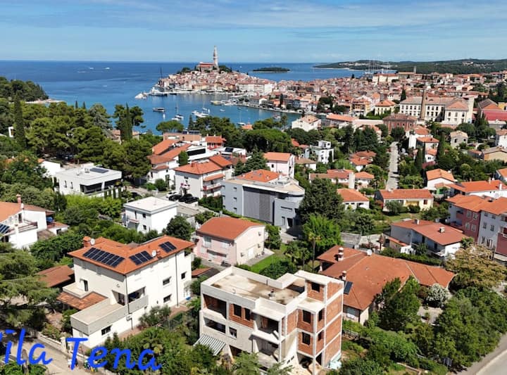 Villa Tena - One Bedroom Apartment (Floki) - Rovinj