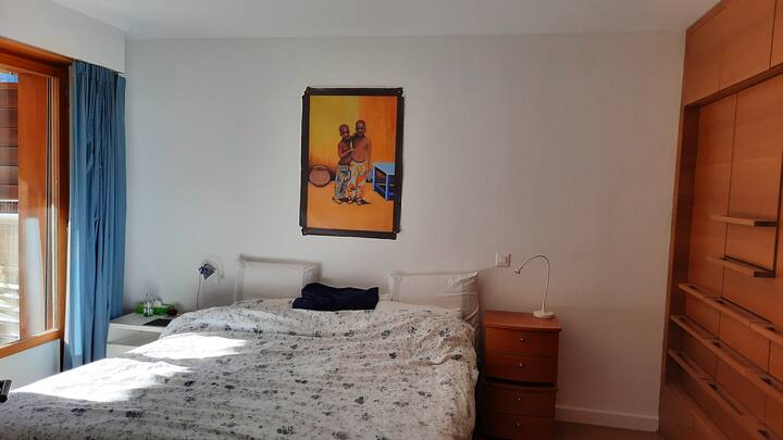 3-bedroom/2-bath Apt With Amazing Mountain Views - Champéry