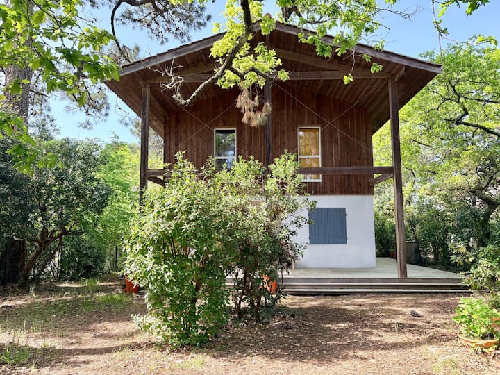 La Maison Des Mimosas - Arcachon