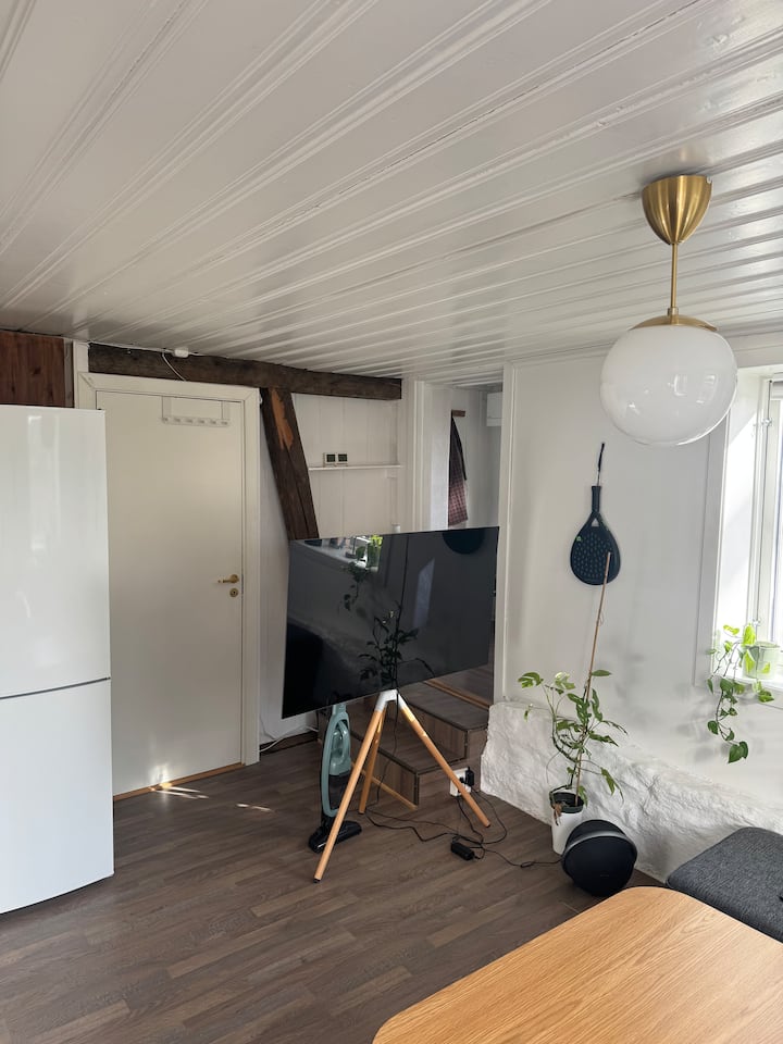 Koselig Og Sentral Leilighet I Oslo - 오슬로