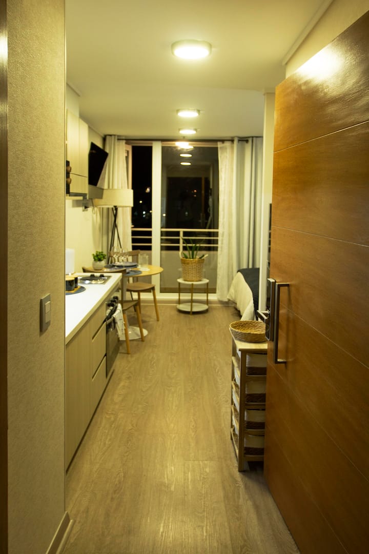 Departamento En Pleno Centro De Concepción - San Pedro de la Paz