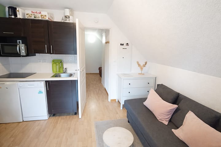 Nid Douillet Pour 3 Personnes - Puy de Sancy