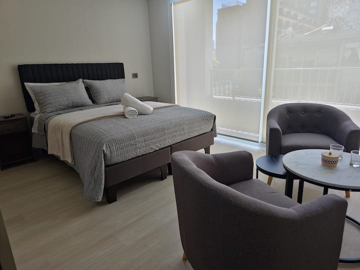Apartamento 5 Estudio Wifi Central Santa Lucia - Chile
