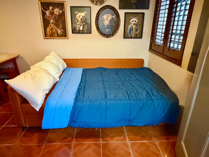 Todo Nuevo Barra60, Anam-parque Finsa-consulado-tx - Nuevo Laredo