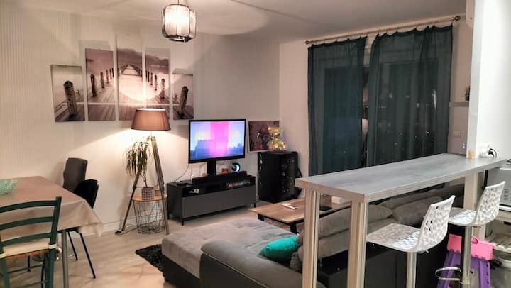Appartement T2 Dans Un Ensemble De Copropriété. - Tournefeuille