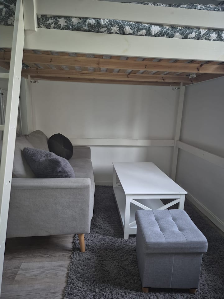Beau Petit Studio - Grenoble