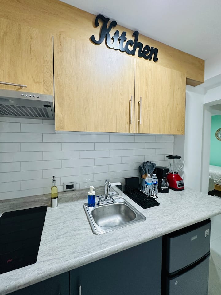 Loft Nuevo En Zona Centro Aguascalientes - Loft 4 - Aguascalientes
