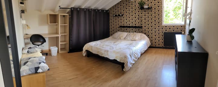 Habitación 1