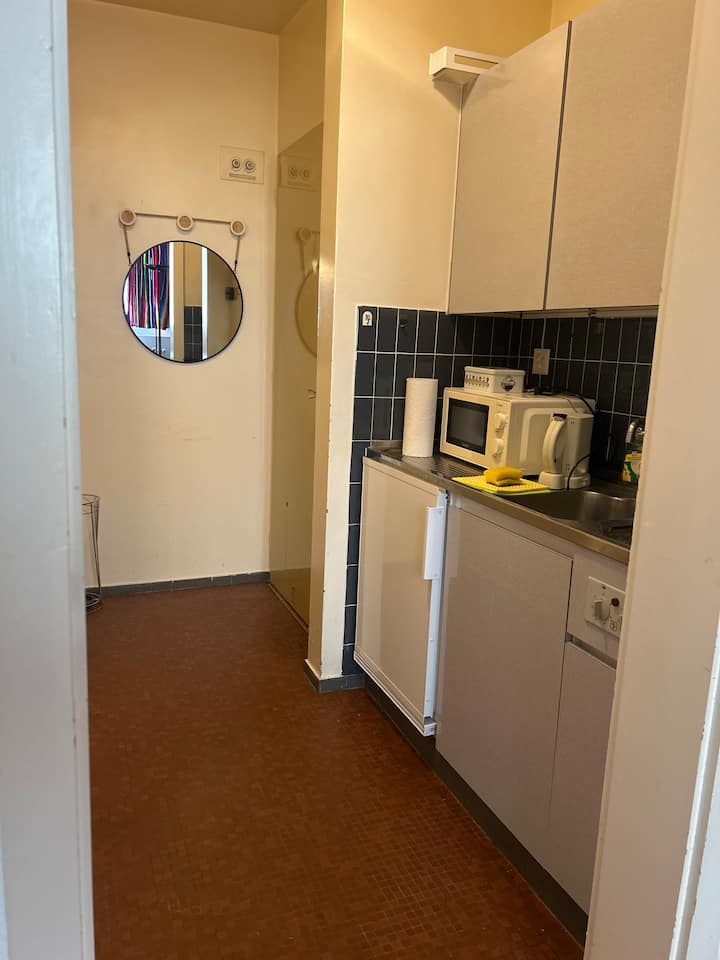 No Frills 1 Room Flat In Gva - Plainpalais - Genebra