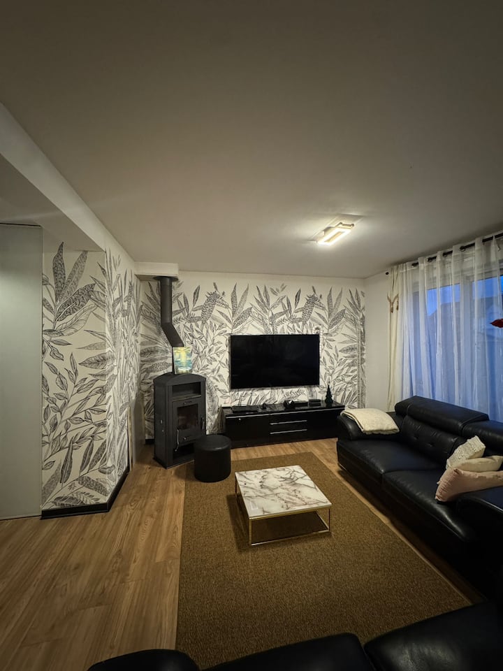 Maison Jardin Cosy Proche Frontière Sur 2 Niveaux - Bartenheim