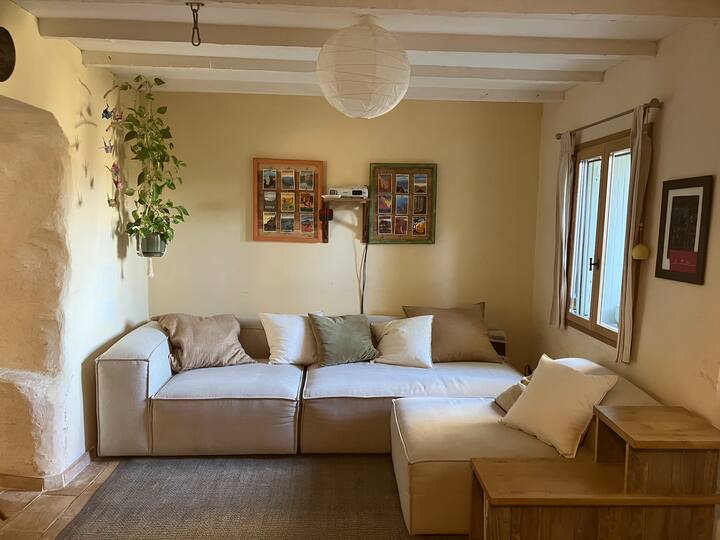 Maison De Village Avec Vue Et Terrasse - Clermont-l'Hérault