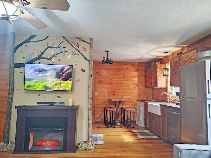 Remote Cabin, Hot Tub, View, Family & Dog Friendly - Bryson City, NC