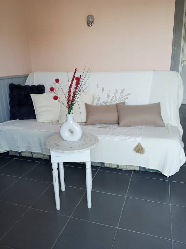 Vue  Sur Mer, Appt 40 M² Ascenseur, Parking Privé. - Saint-Cyprien