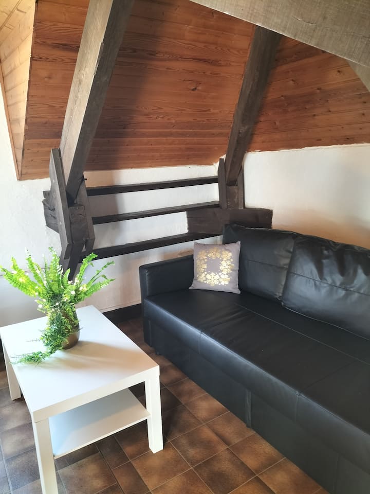 Studio 35 M² Pour 2 Personnes Avec Un Extérieur - Lacanau Océan
