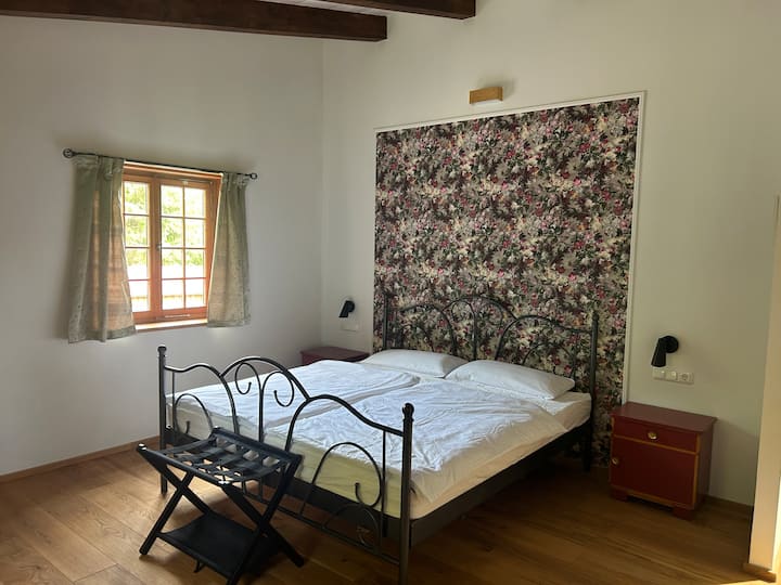Habitación 6