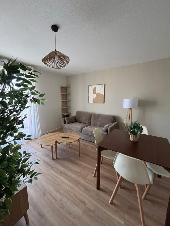 Le Grand Cocoon Rouen Avec Parking Privé - Rouen