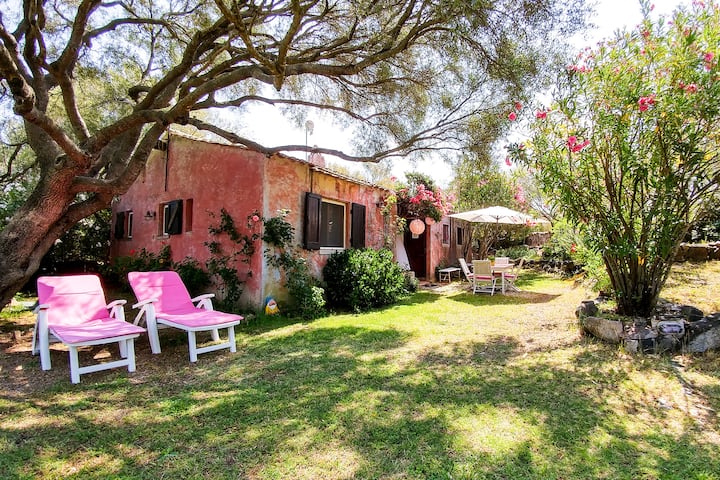 Villetta Con Grande Giardino - Domus De Cugnana - Olbia