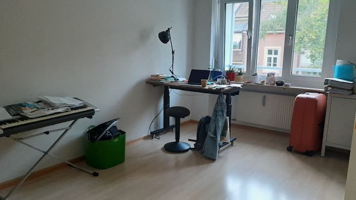 1 Room Apartment Basel City (Women Only) - Basilea