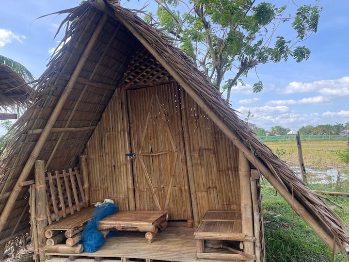 A 2 Heactar Farm With A Tiny Bamboo House . - Pototan