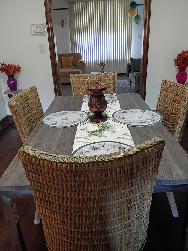 Dream House Near The Obama Presidential Center - 芝加哥