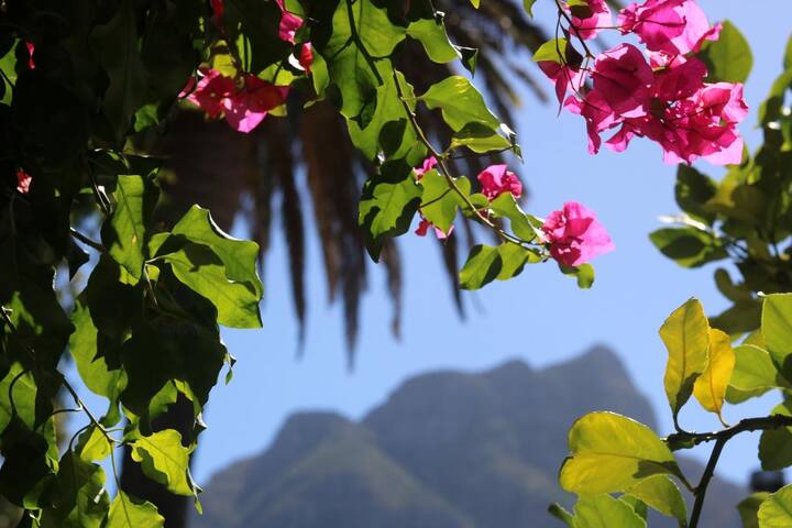 Charming 3 bedroom home. Close to Newlands Forest. gallery image 2