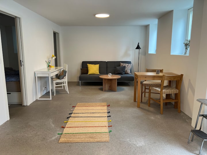 Newly Renovated 2026 Apartment By Blindern - Oslo