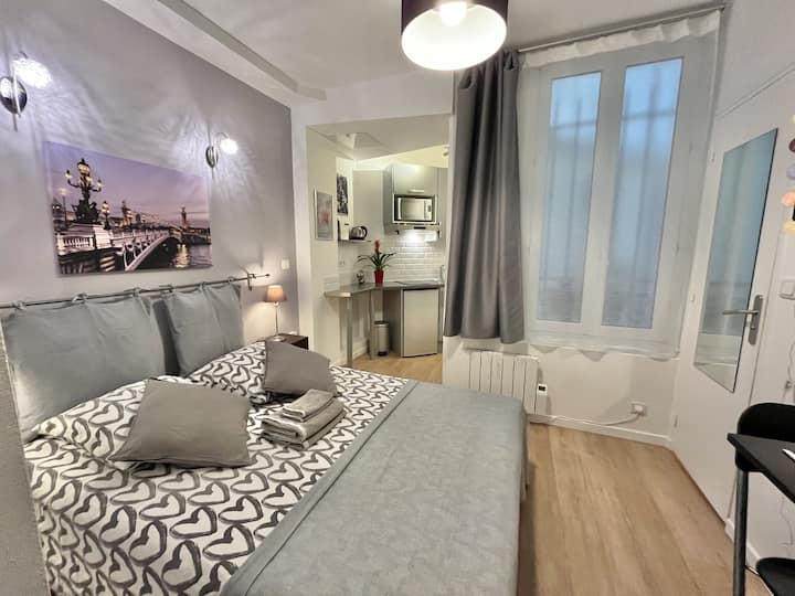Heart Of Paris - Air Conditioner - 15th arrondissement (district)