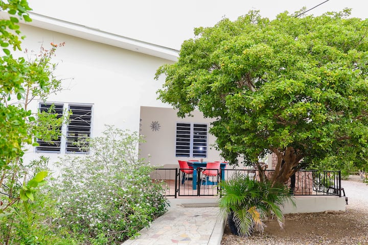 Rosa  2br Spacious Apartment With Parking - Curazao