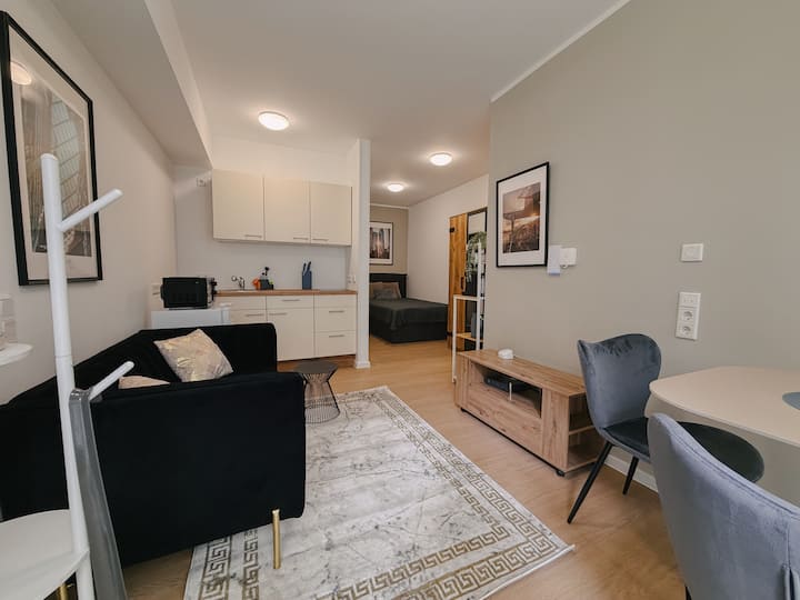 Studio Apartment Wiesbaden City Wg 11 - Wiesbaden