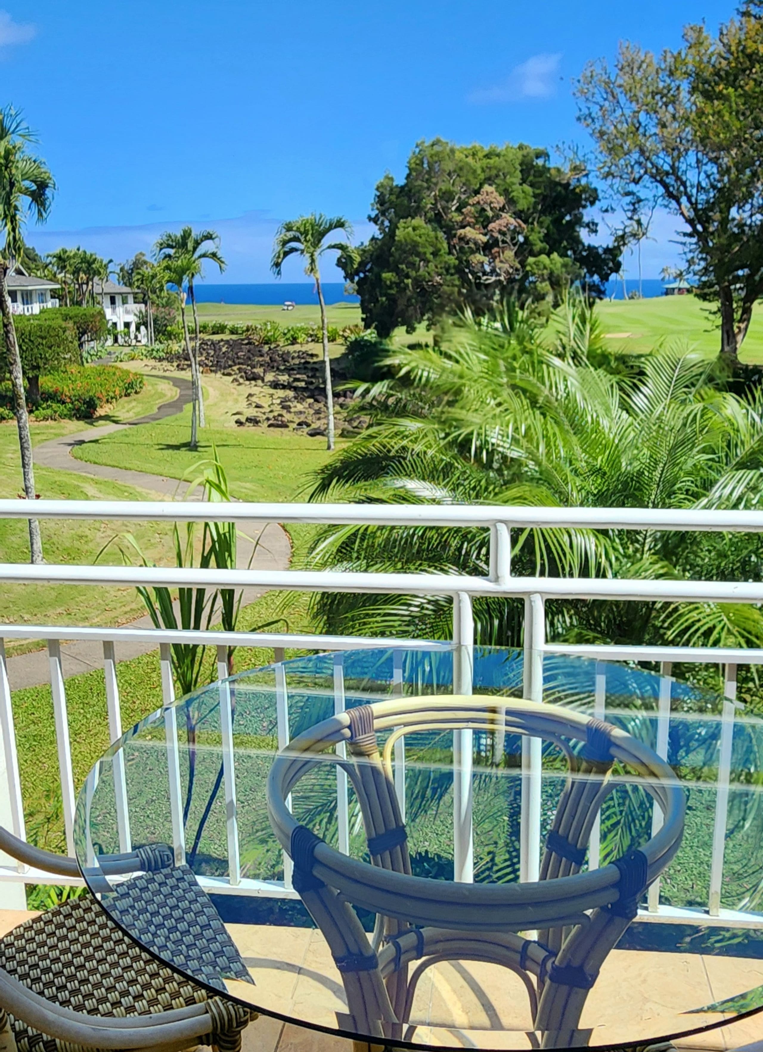 NEW! Paradise Oceanview with AC and Private Lanai - Main photo