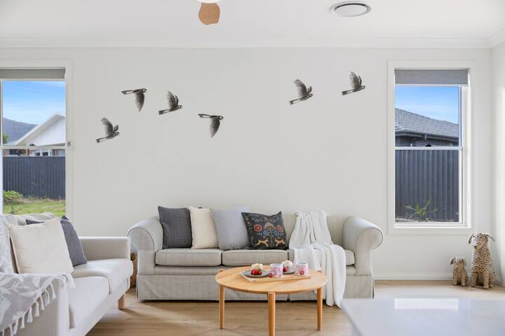 Zanda - Birdwatchers Paradise - Laurieton