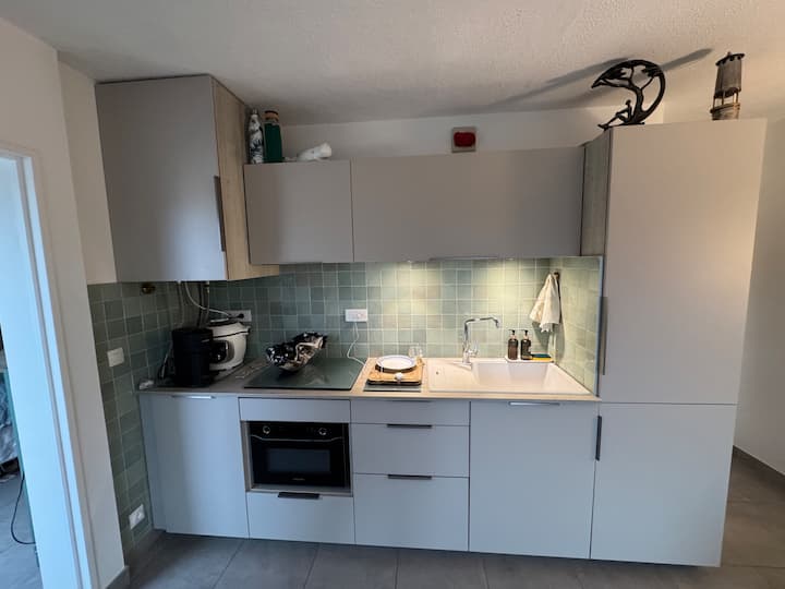 Cuisine tout équipée: frigo/congélateur, Combiné Four/ four micro onde, plaque induction, hotte, cafetière Malongo, bouilloire, grill pain. vaisselle.