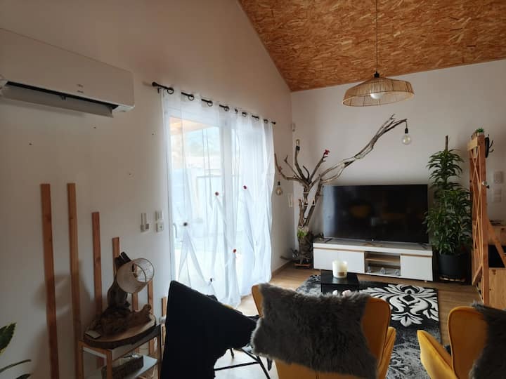 Maison Loft/classé 5 éToiles/jardin Parking Clos - Labouheyre