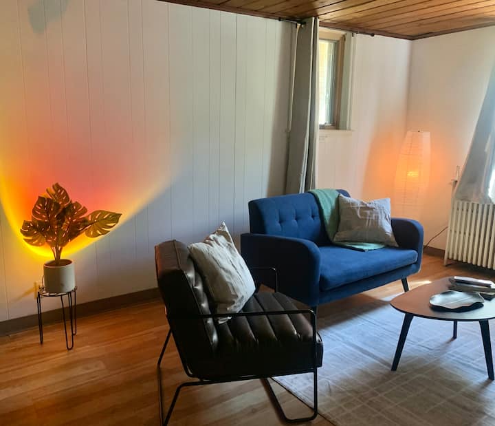 Mid-mod Hideaway, Cozy St. Paul 1br Apartment. - Saint Paul, MN