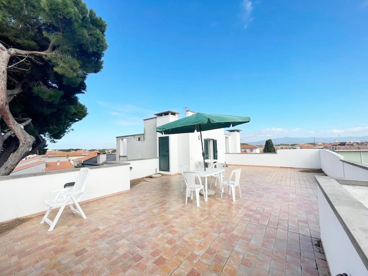 250 M To Beach | Ostro Apartment | Cecina - Cecina
