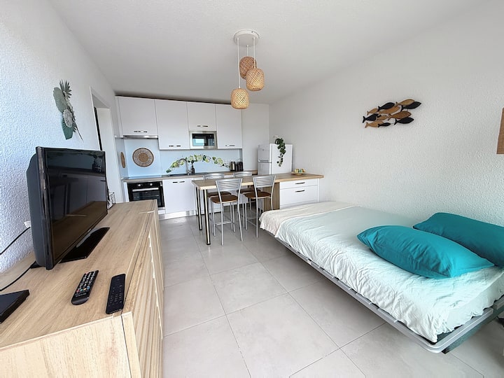 Accès Direct Plage Parking Climatisationterrasse - Carnon