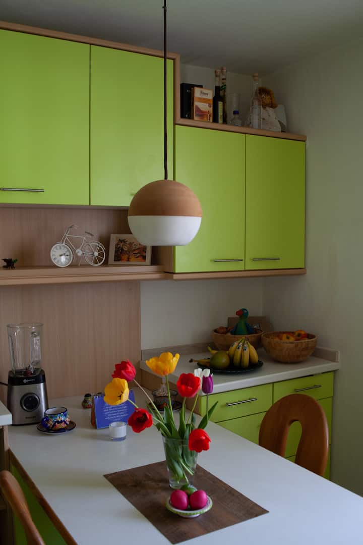 Große Wohnung Mit Balkon & Garten Am See - Friedrichshafen