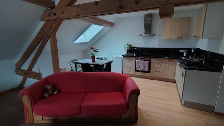 Loft Cosy Sous Les Combles - Urbès