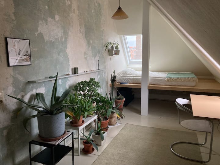 Gemütliches Zimmer In Plagwitz - Leipzig