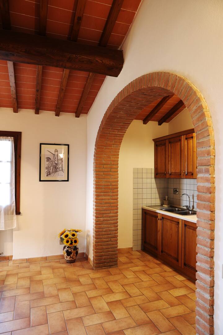 Tognazzi Casa Vacanze - Appartamento Rebecca - San Gimignano