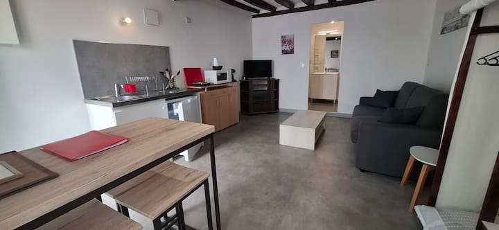 Gien Centre Ville Studio Neuf En Rez-de-chaussée - Gien