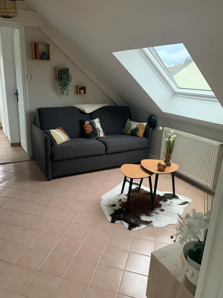 Chambre Suite, Avec Salon,  Salle D'eau Et Wc - Arc-et-Senans