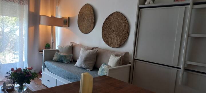 Chaleureux Studio Avec Cheminée En Rez-de-jardin. - Gréolières les Neiges